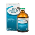 VITAMIN B1 INJ VALUE PLUS 100ML