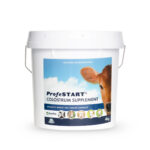 PROFESTART COLOSTRUM POWDER 4KG