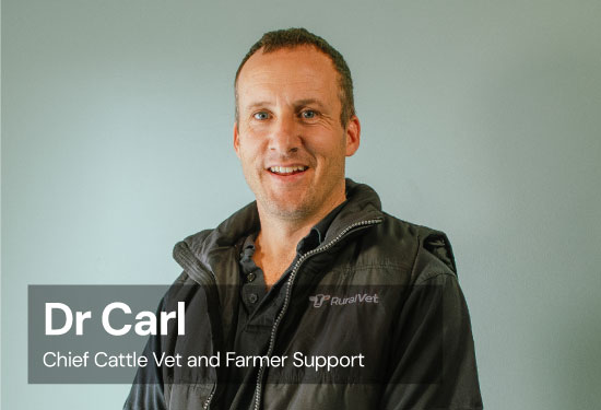 Chief Cattle Vet and Farmer Support at Dairy Direct and RuralVet